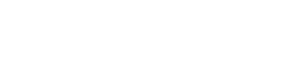 iFundi Logo White